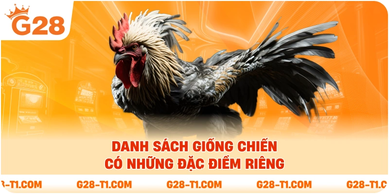 Danh sách giống chiến có những đặc điểm riêng