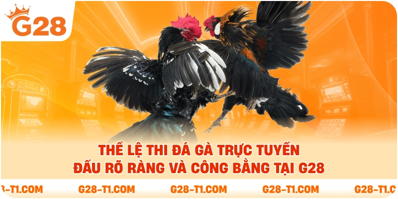 Thể lệ thi đá gà trực tuyến đấu rõ ràng và công bằng tại G28